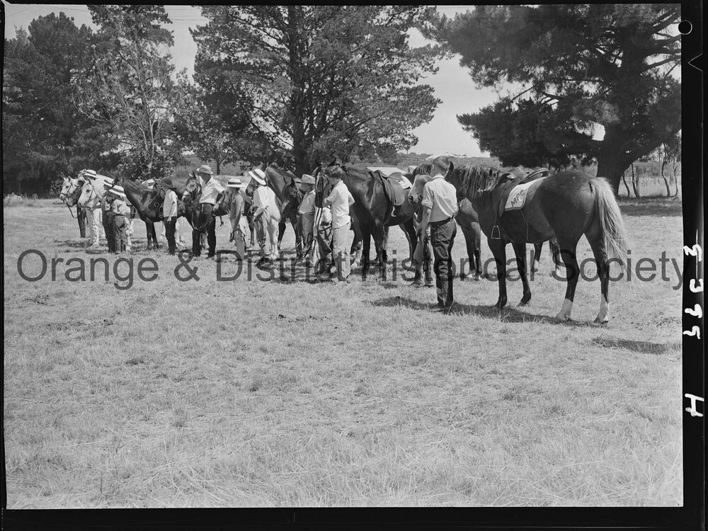 Orange Pony Club camp