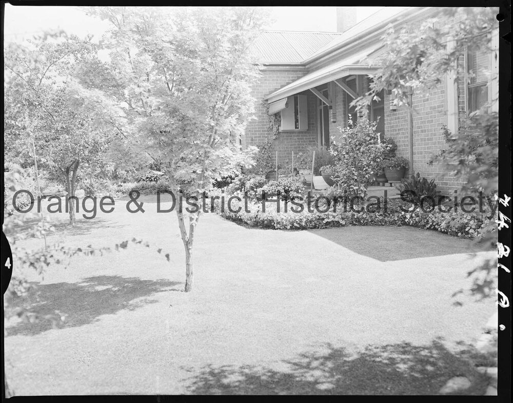 Winner of Orange Festival of Arts Garden competition, Mr &amp; Mr Burrows, Sampson Street, Orange