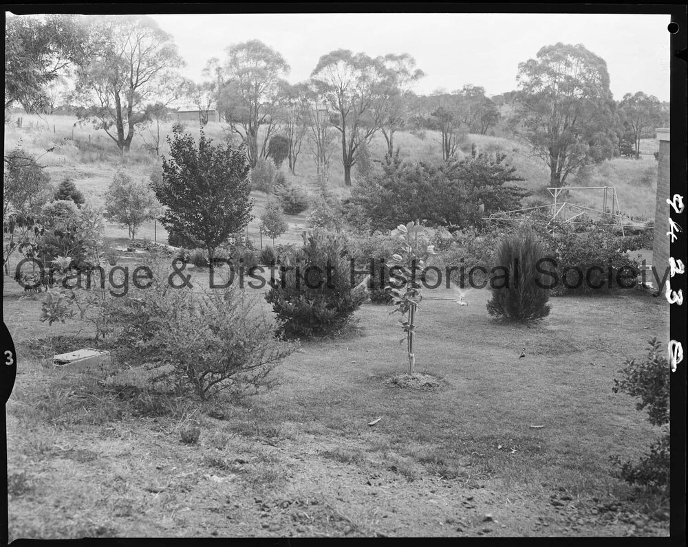 Garden of Dr J E Dunlop