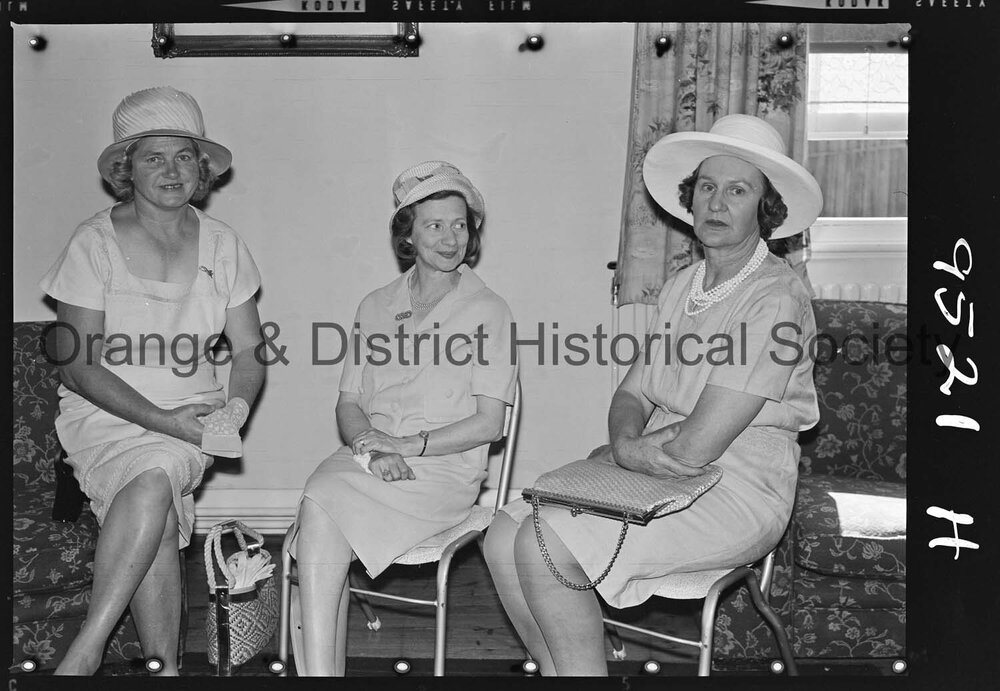 Orange Base Hospital 16th graduate nurses' reunion