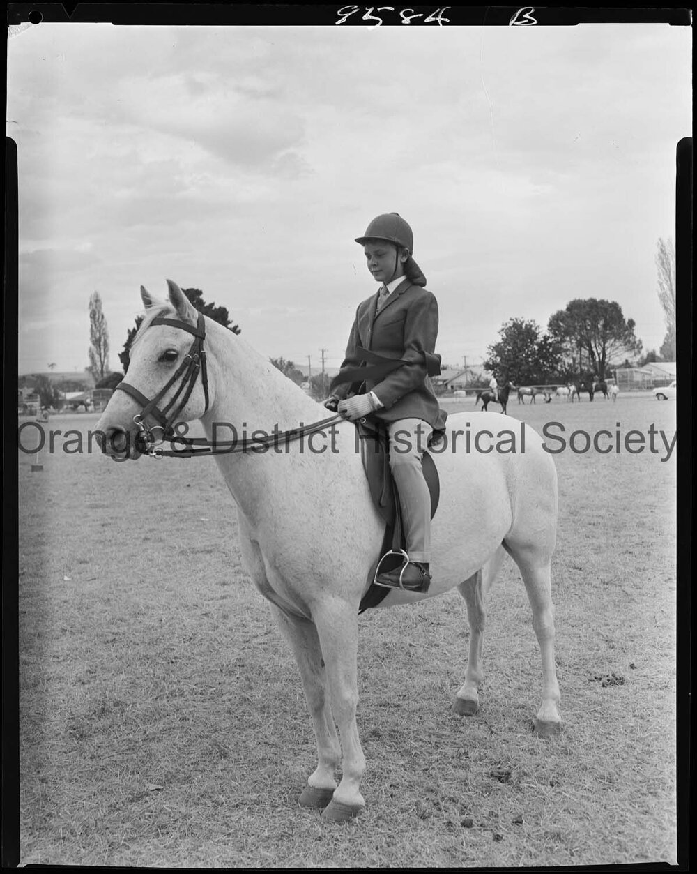 Blayney Show