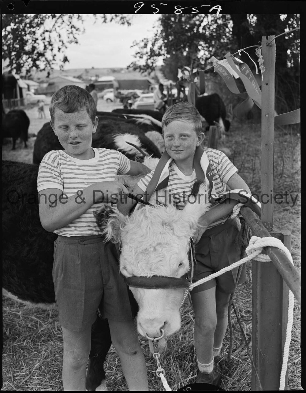 Blayney Show