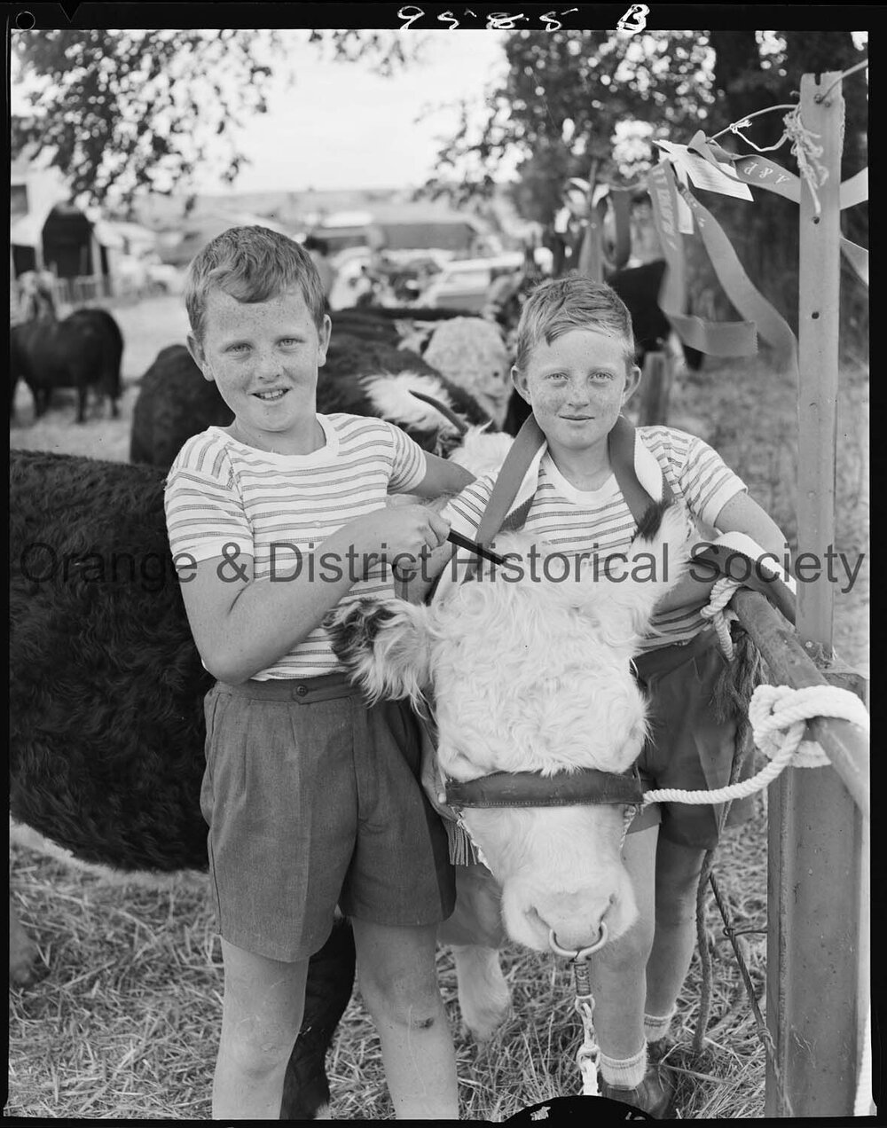 Blayney Show