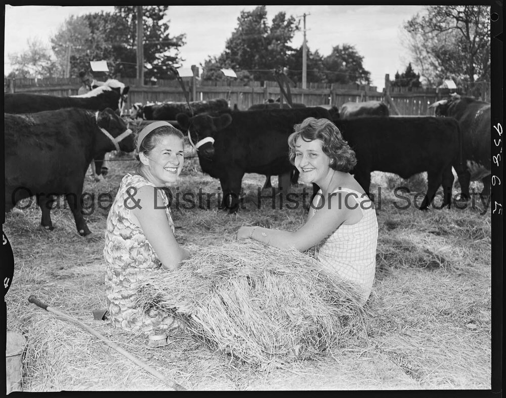 Blayney Show
