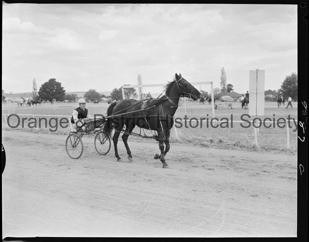 Blayney Show