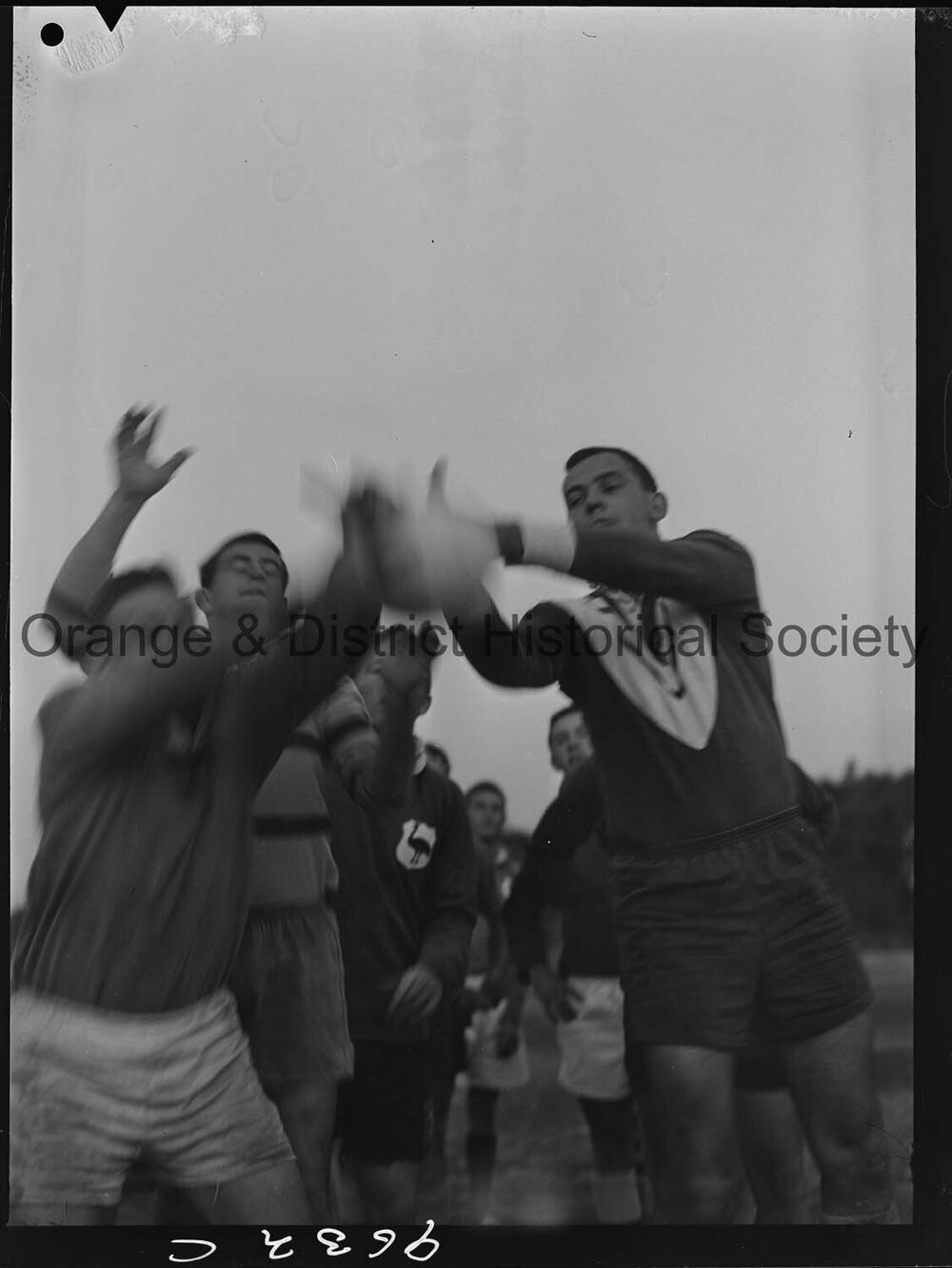 Emus rugby union team training