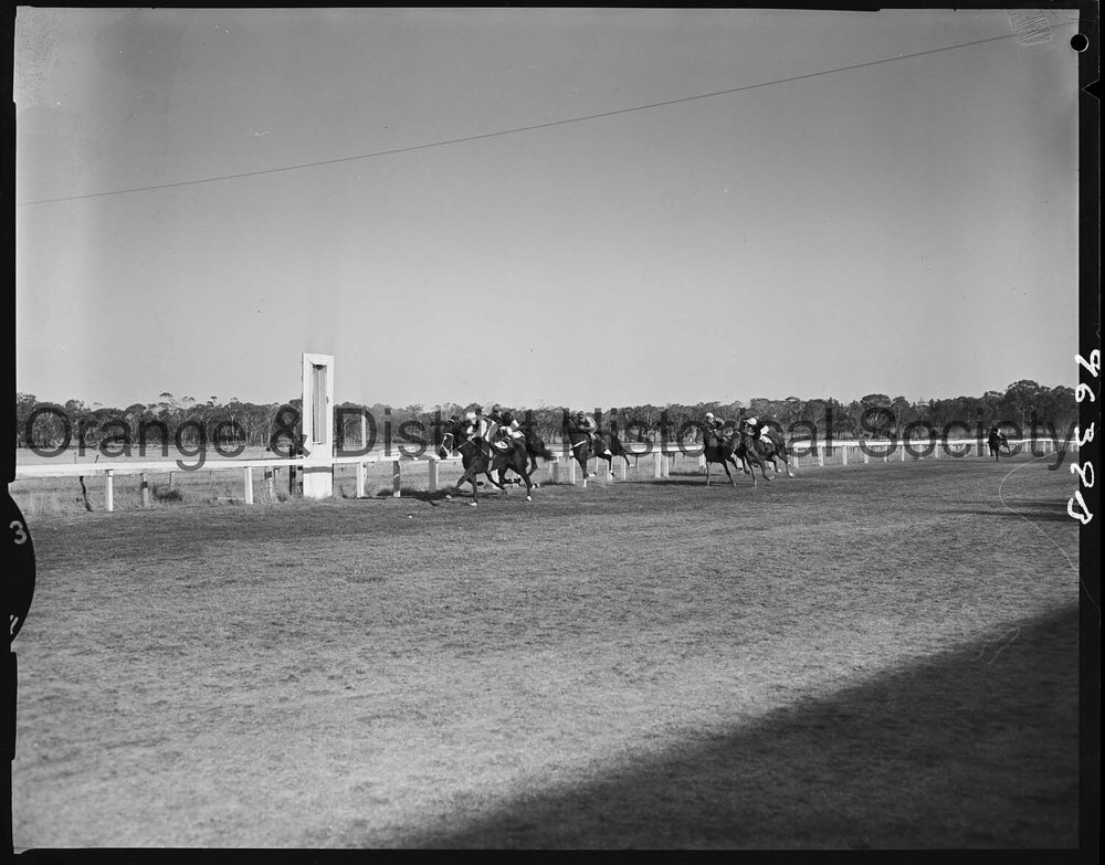 Orange Jockey Club race meeting