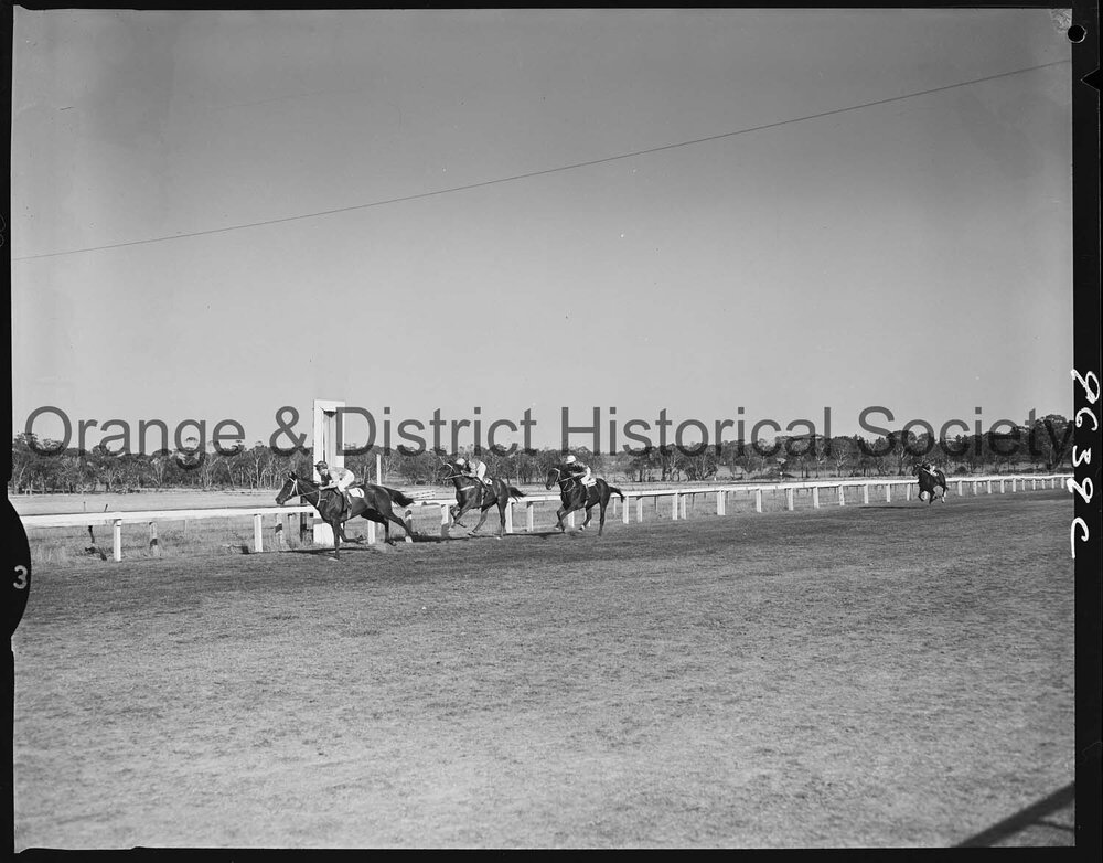 Orange Jockey Club race meeting