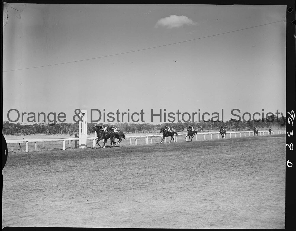 Orange Jockey Club race meeting