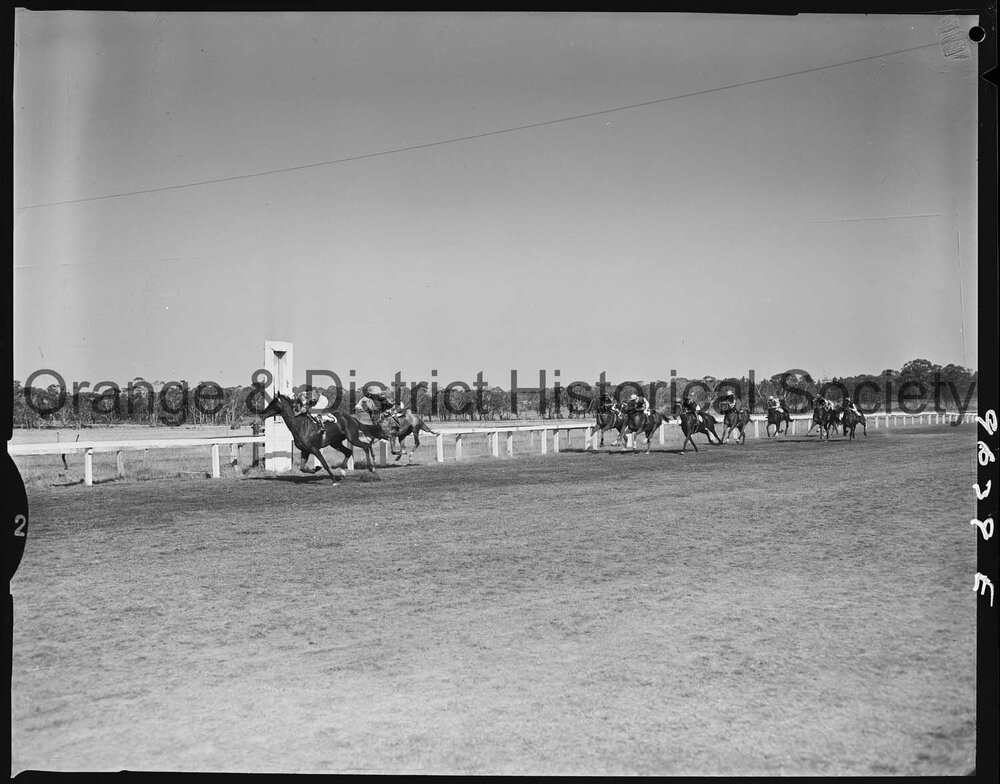 Orange Jockey Club race meeting