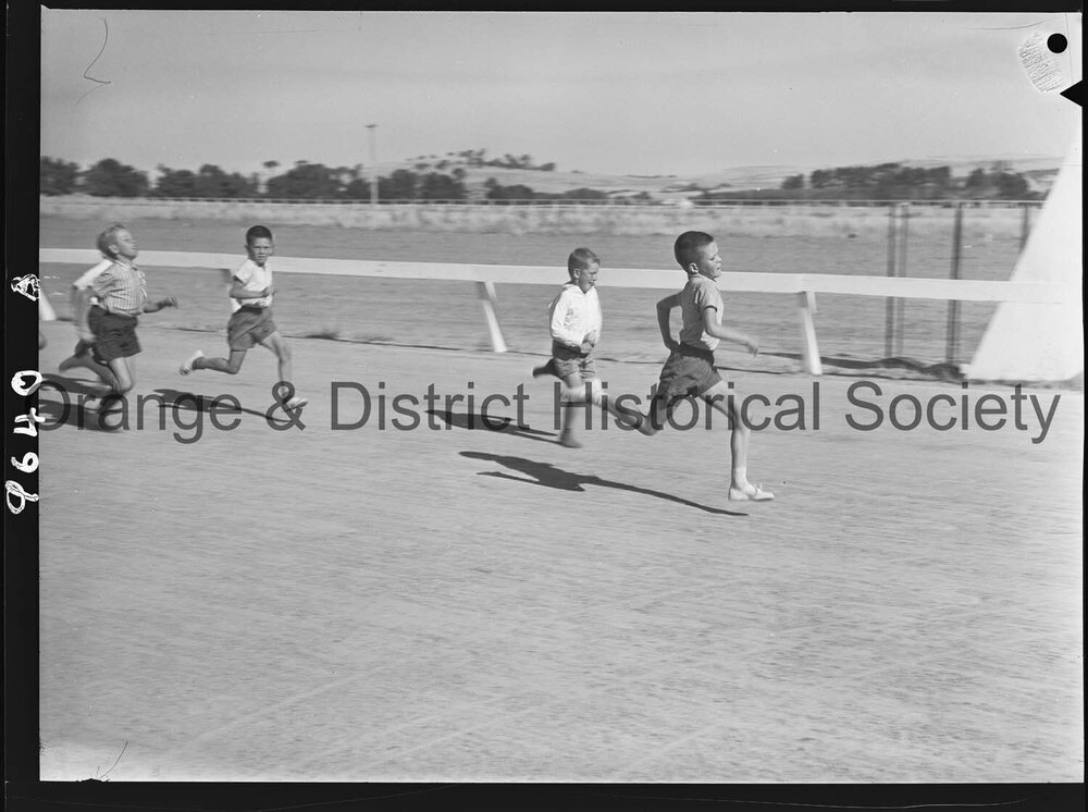 Orange Trotting Club gymkhana