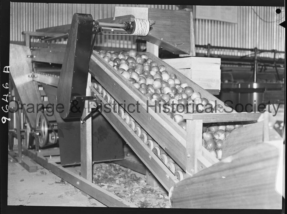 Mr C Howarth's orchard for OPR