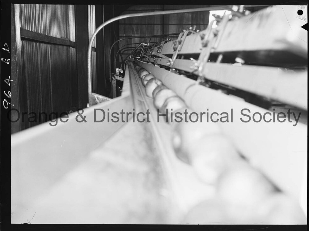 Mr C Howarth's orchard for OPR