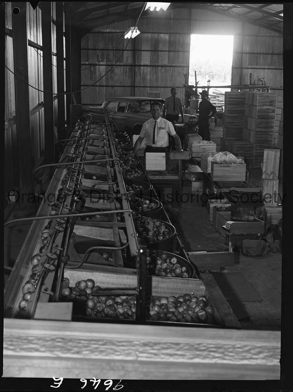 Mr C Howarth's orchard for OPR