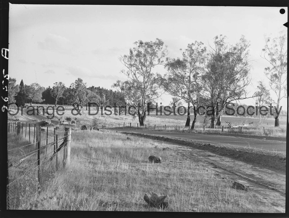 Dangerous bend to be eliminated