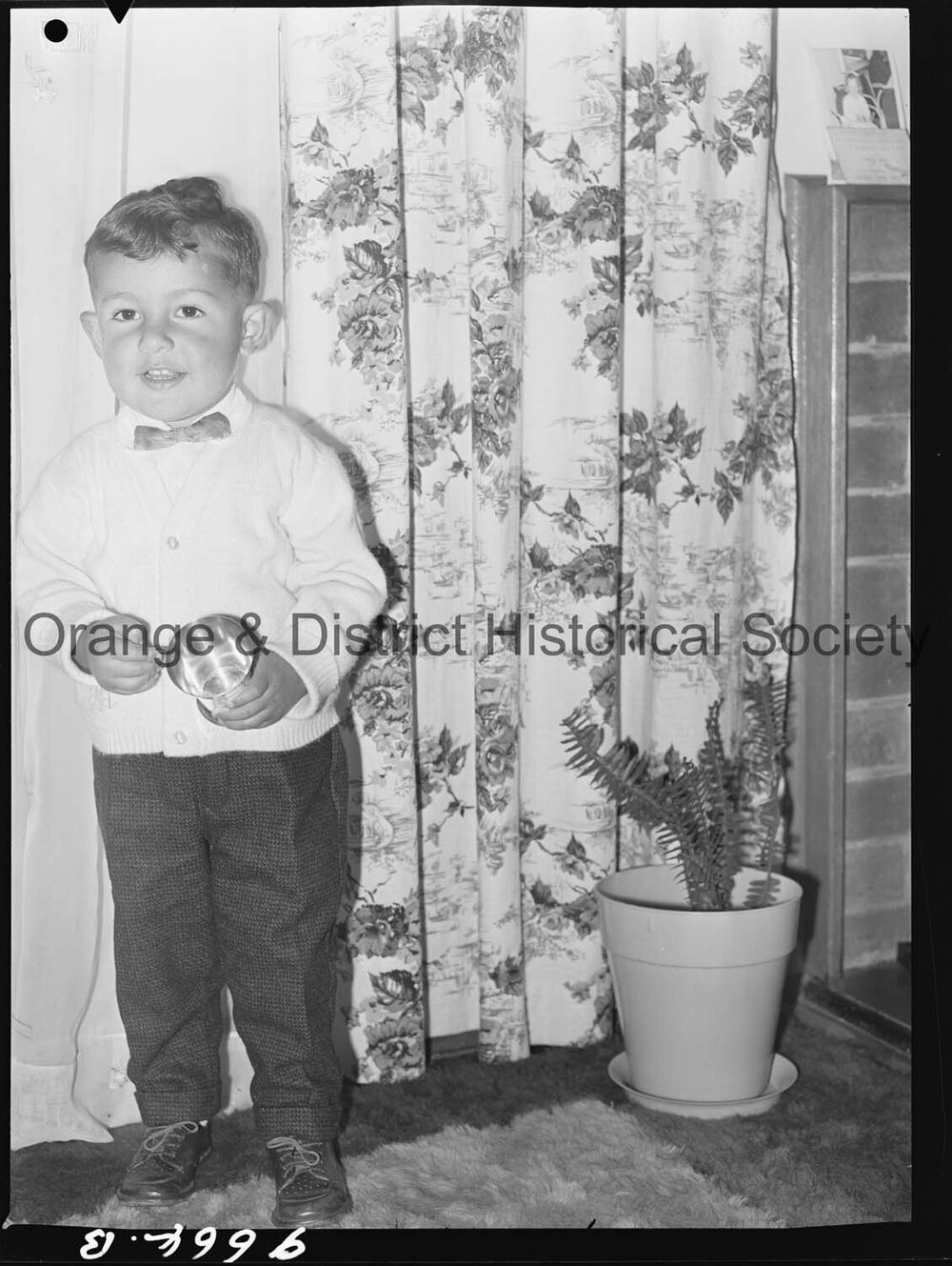 Master Peter Moscardo