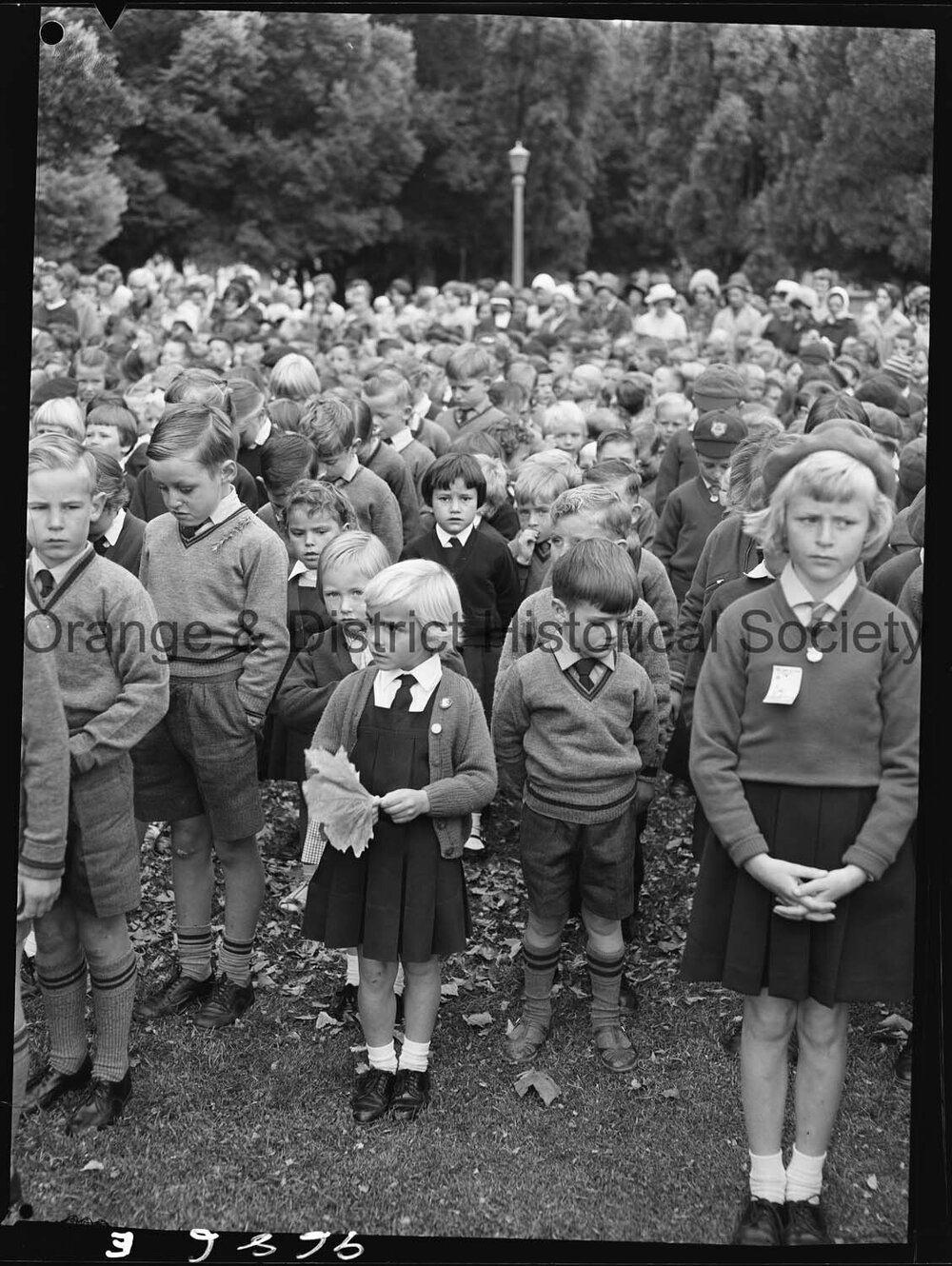 Orange Infants School Anzac tribute