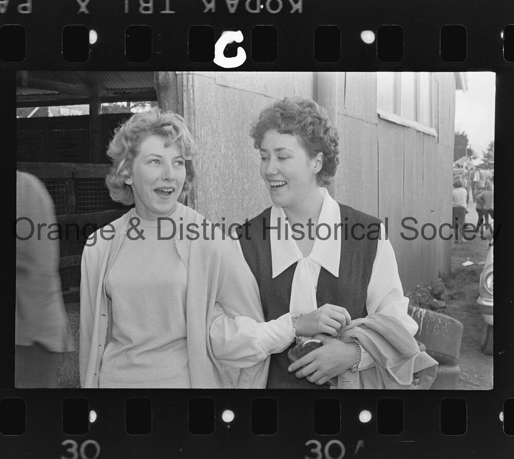 Orange Show second day