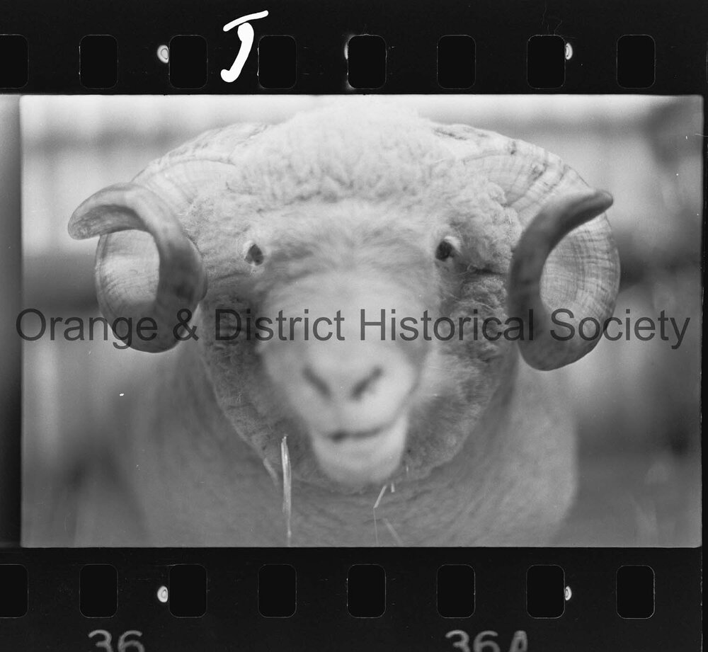 Orange Show second day