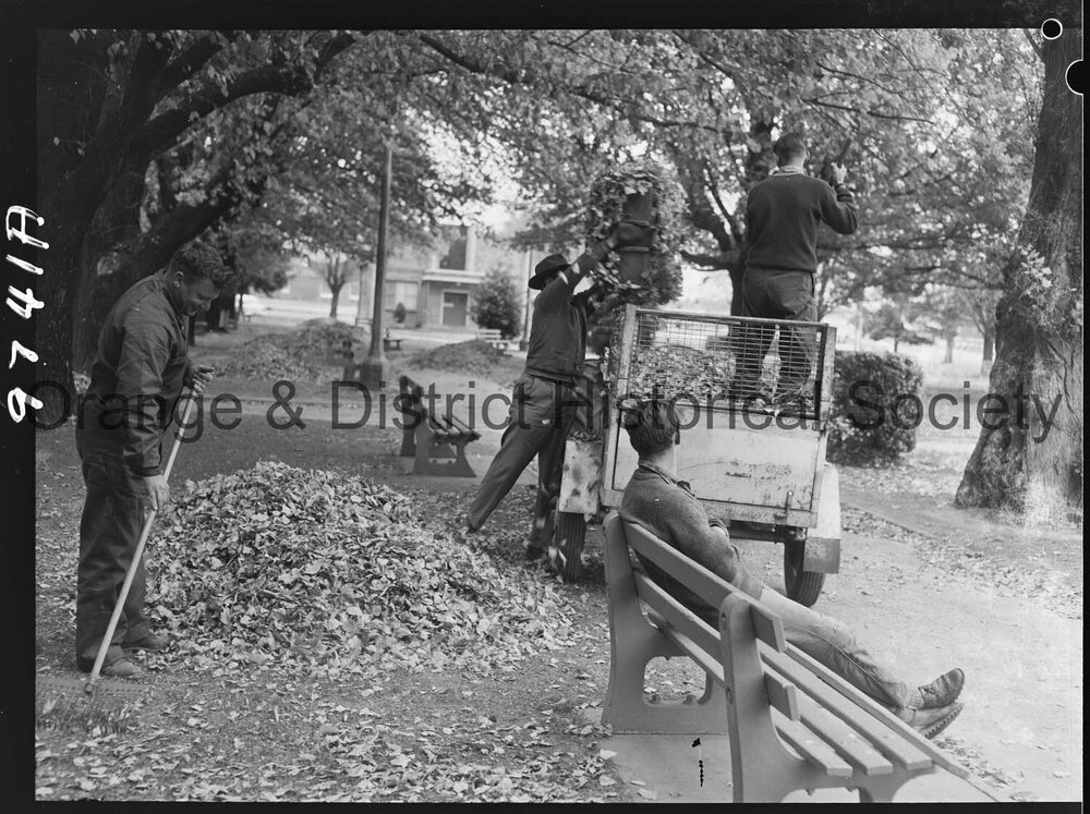 Council workmen cleaning up leaves