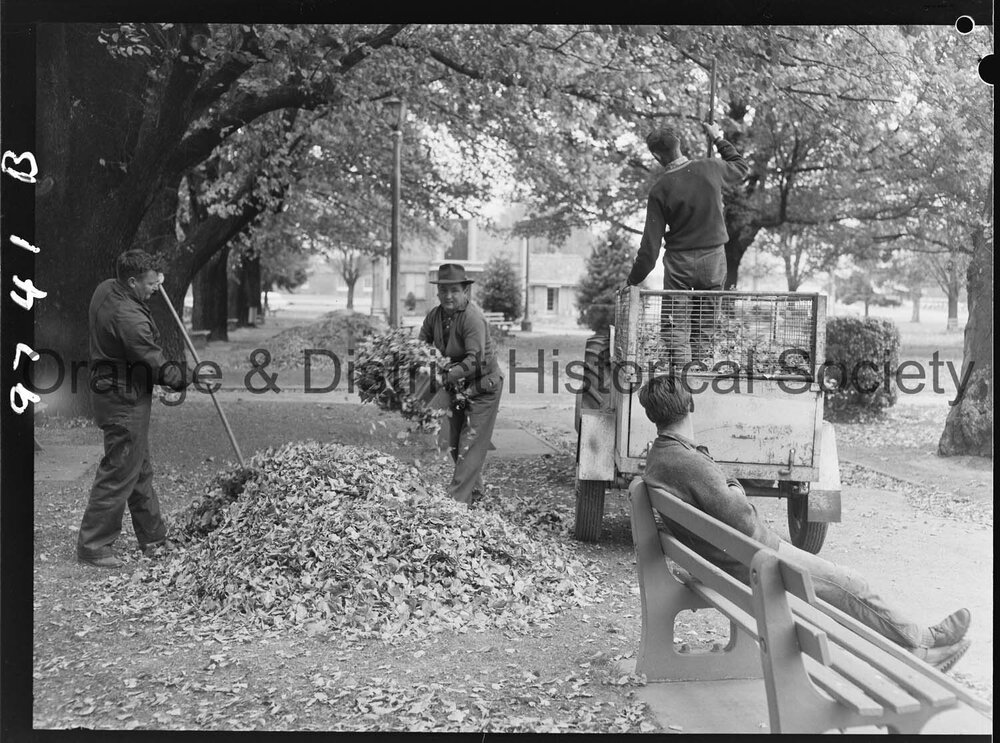 Council workmen cleaning up leaves