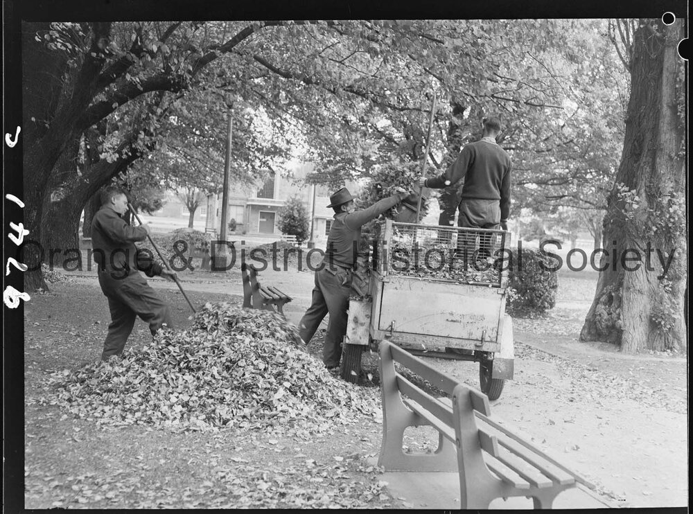 Council workmen cleaning up leaves