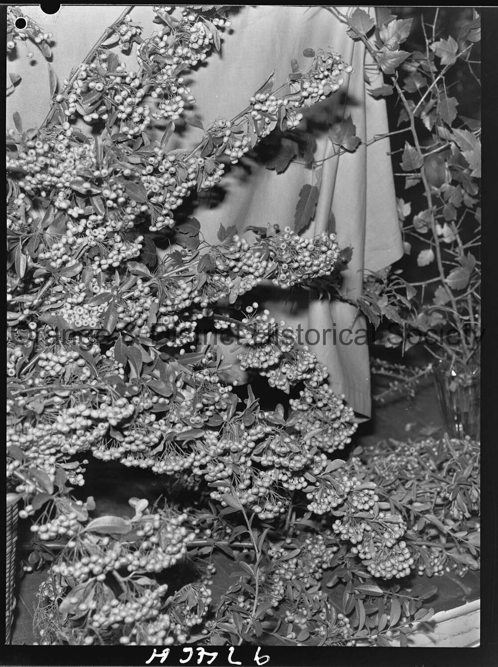 Berry fete at CWA Hall