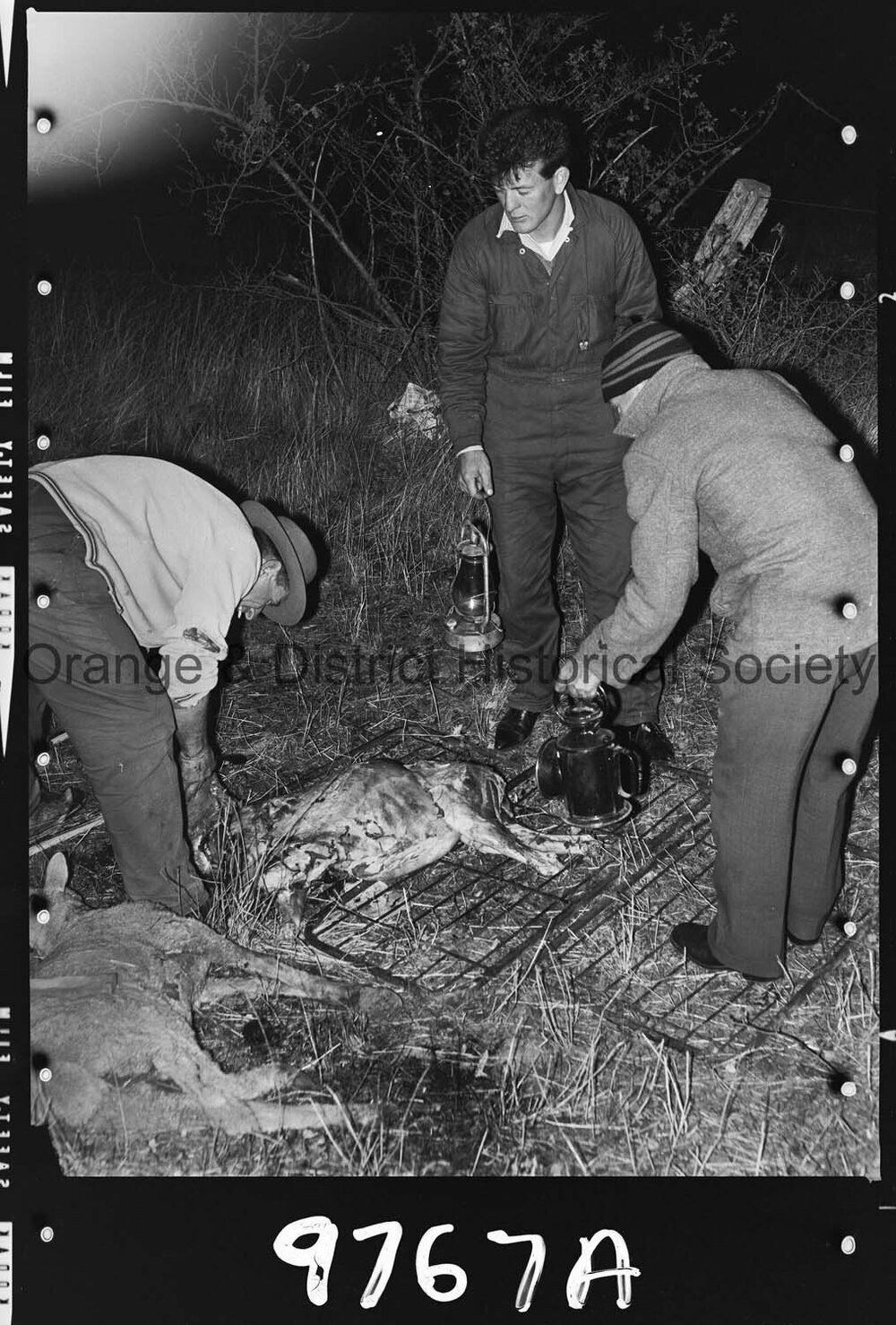 Sheep trailer accident