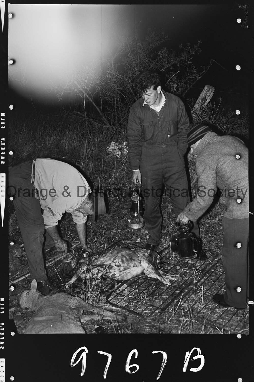 Sheep trailer accident