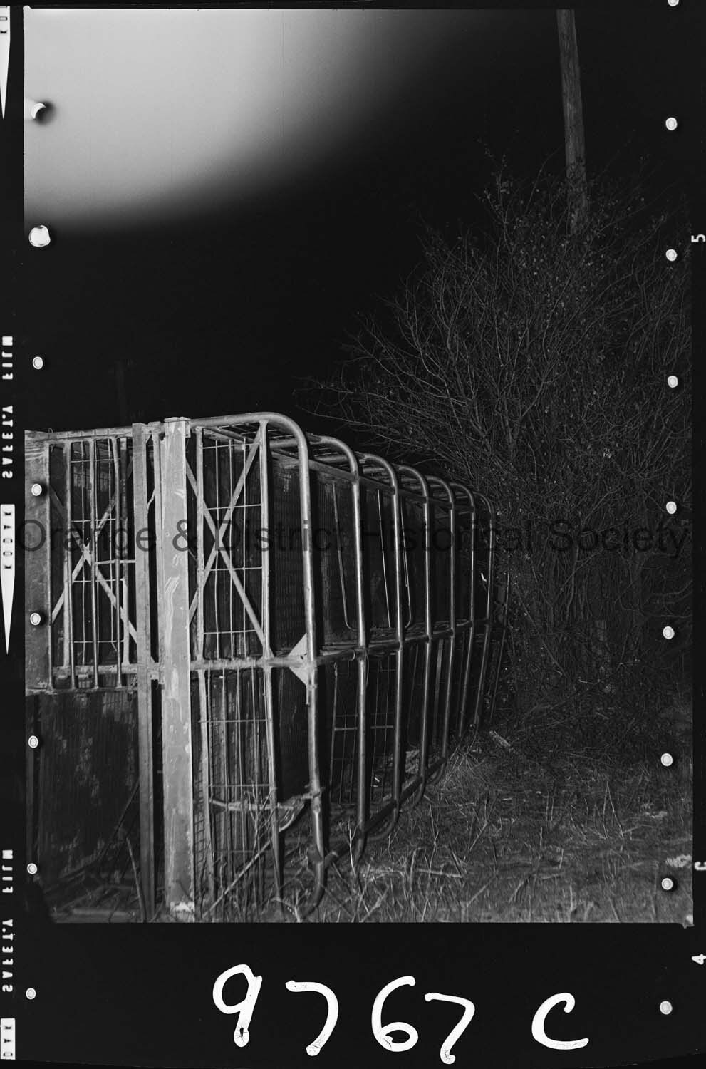 Sheep trailer accident
