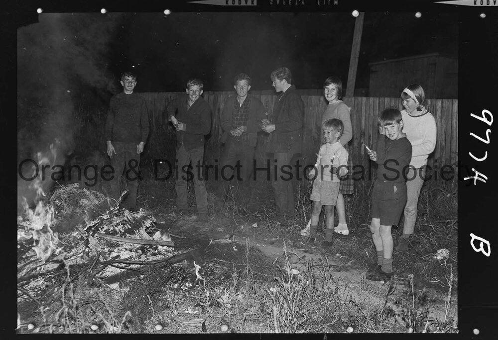 Commonwealth Day celebrations