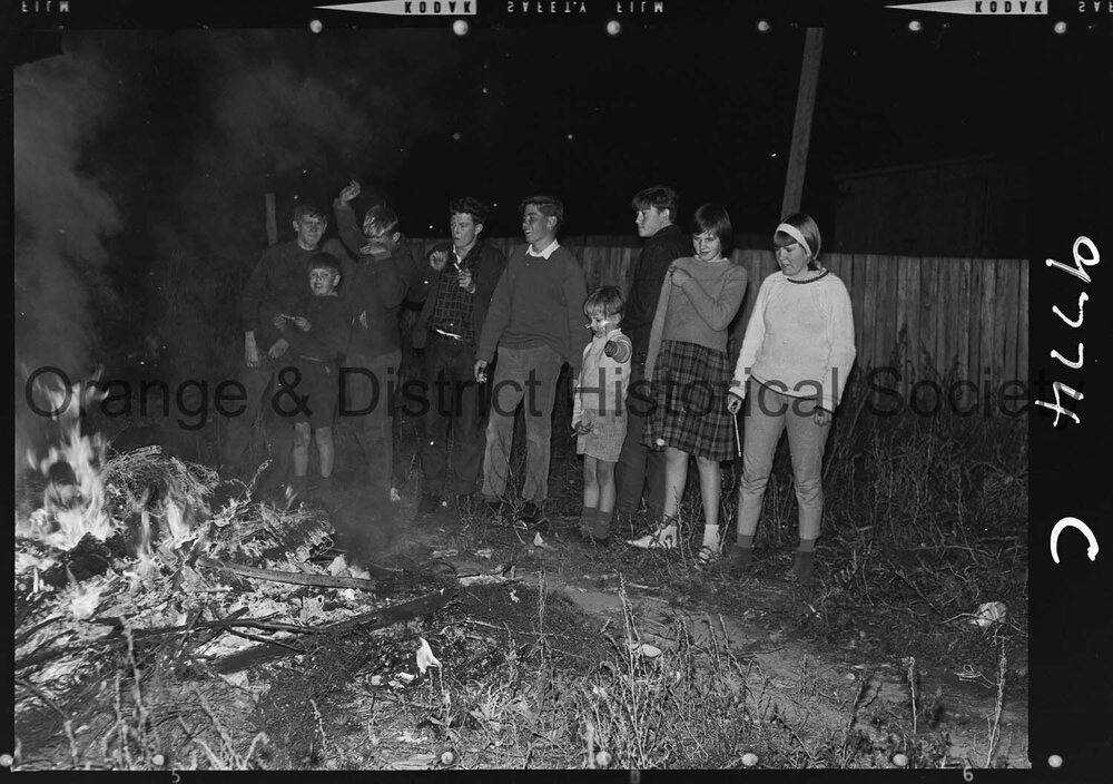 Commonwealth Day celebrations