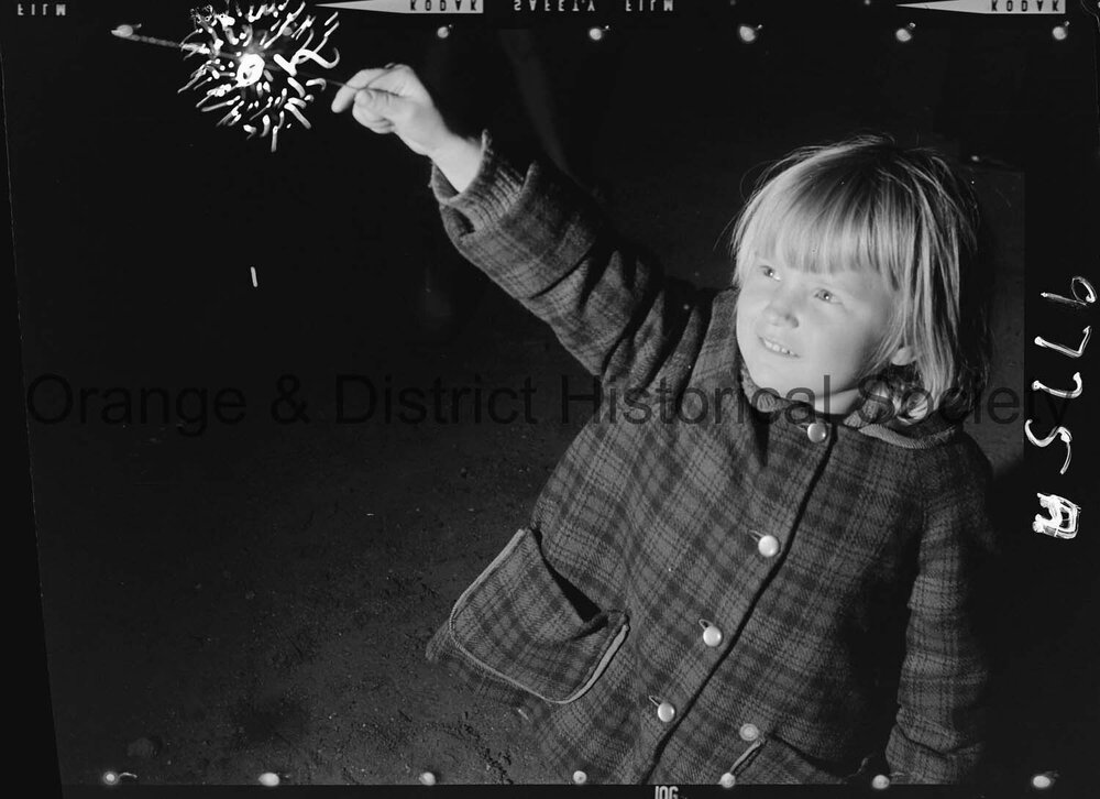 Commonwealth Day celebrations