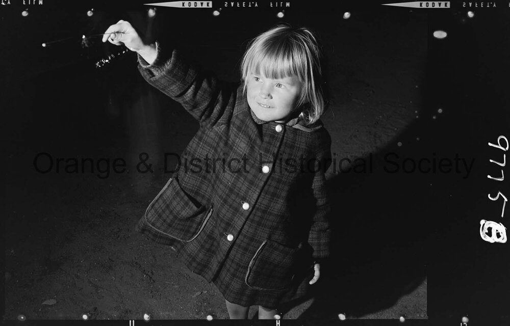 Commonwealth Day celebrations