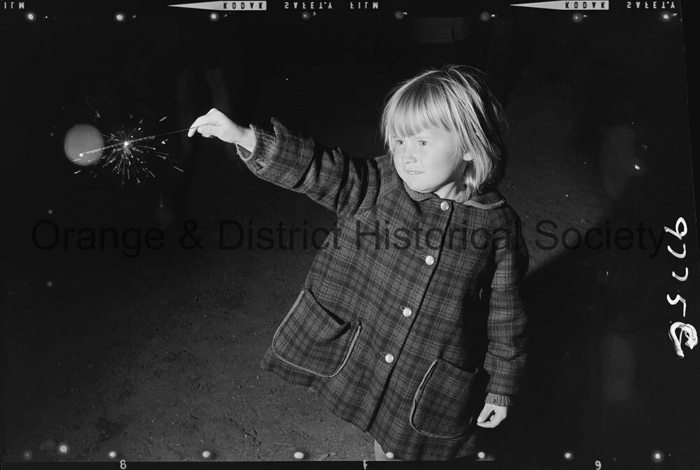 Commonwealth Day celebrations