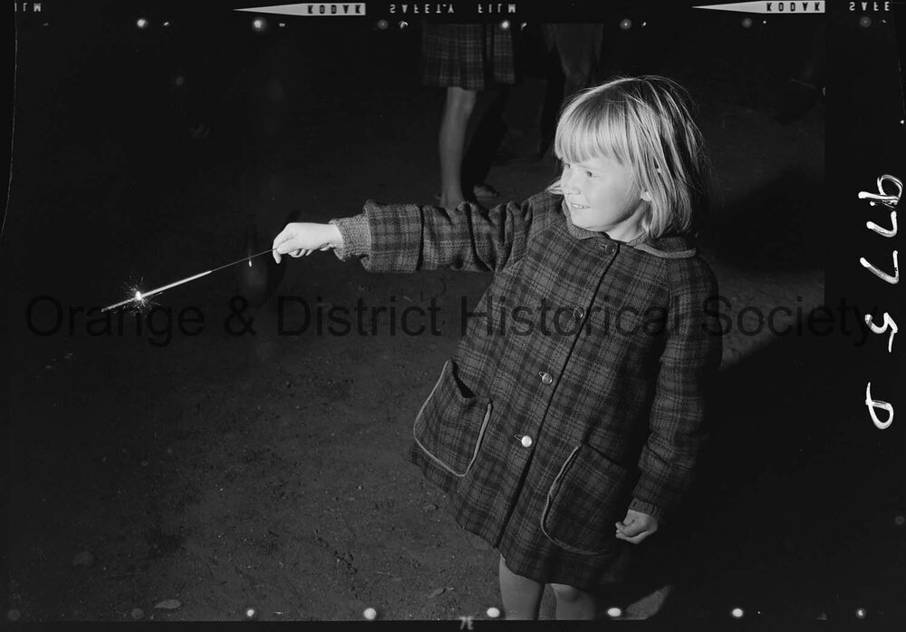 Commonwealth Day celebrations