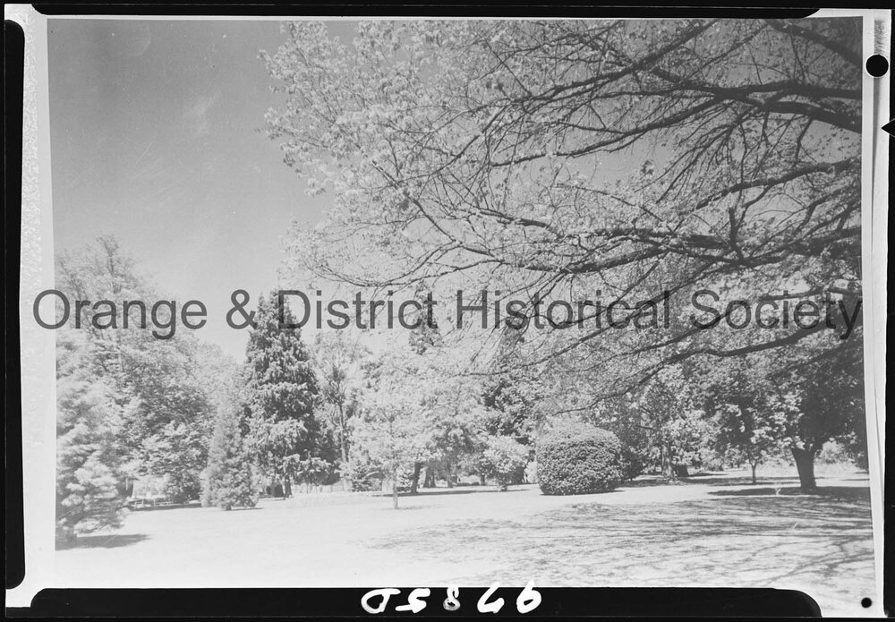 Copy for Orange City Council decentralisation seminar