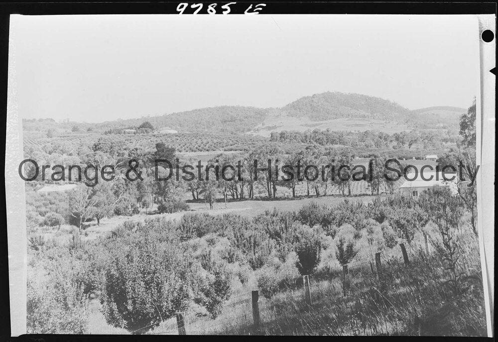 Copy for Orange City Council decentralisation seminar