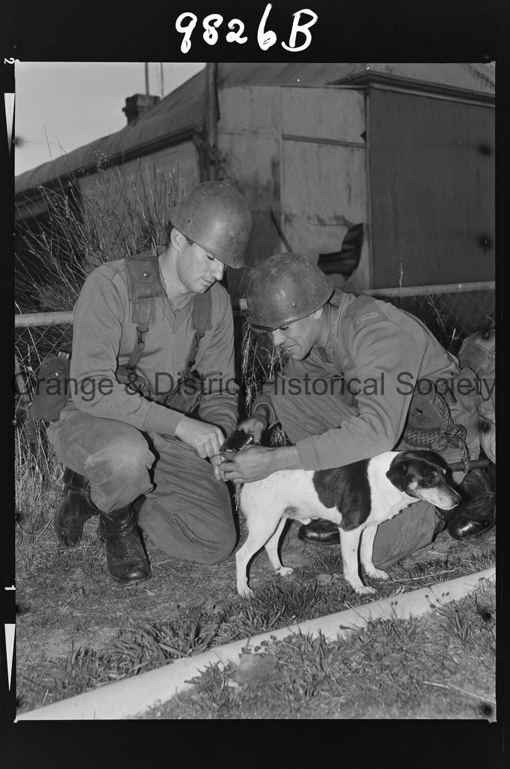 Army survival exercises