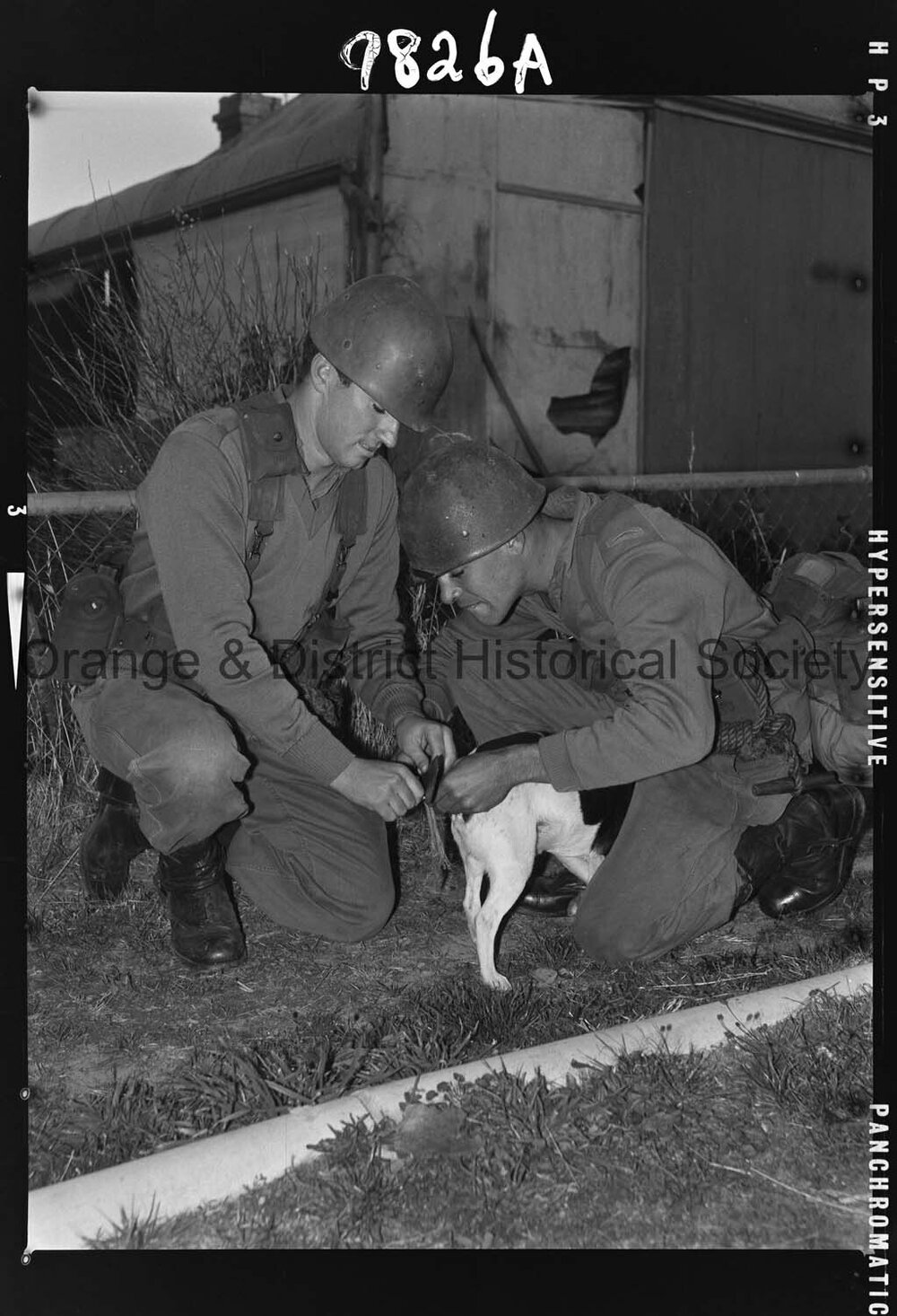 Army survival exercises