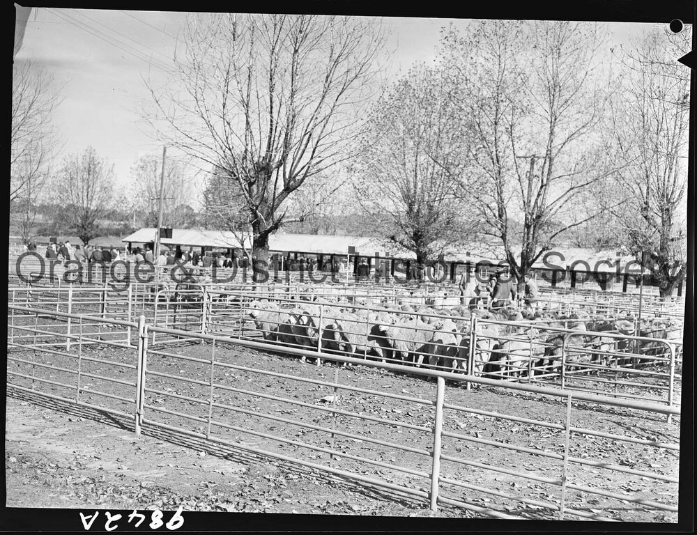 Saleyards