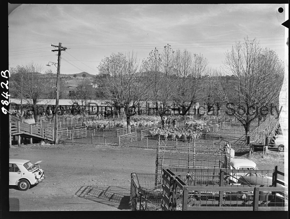 Saleyards