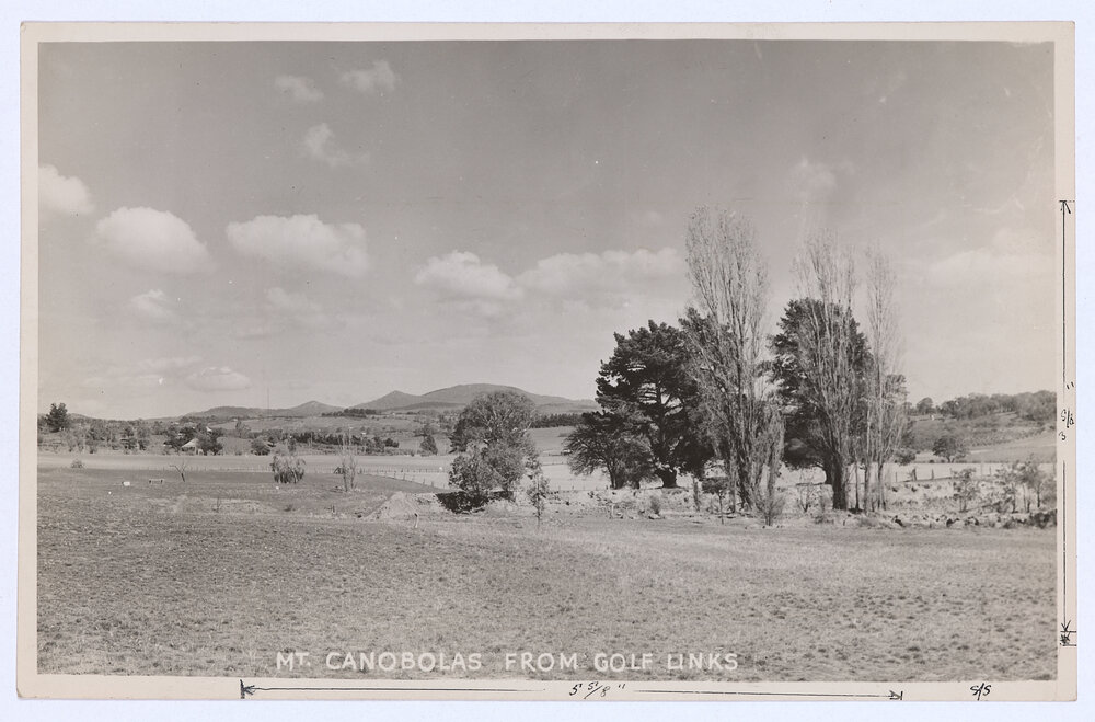 View of Mount Canobolas from golf links