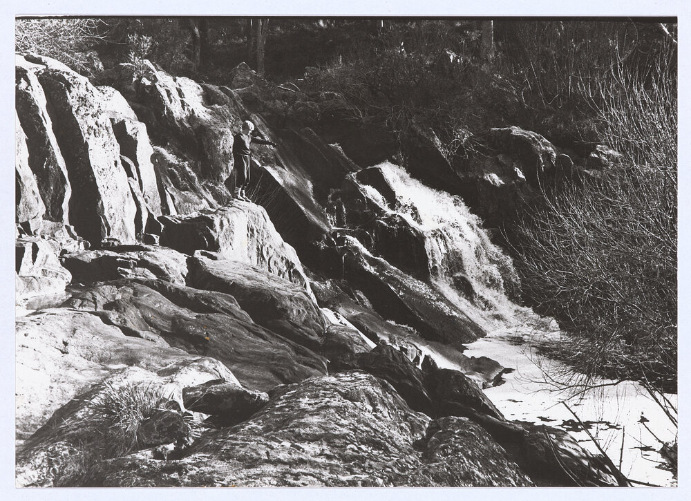 Cascades, Kangaroobie