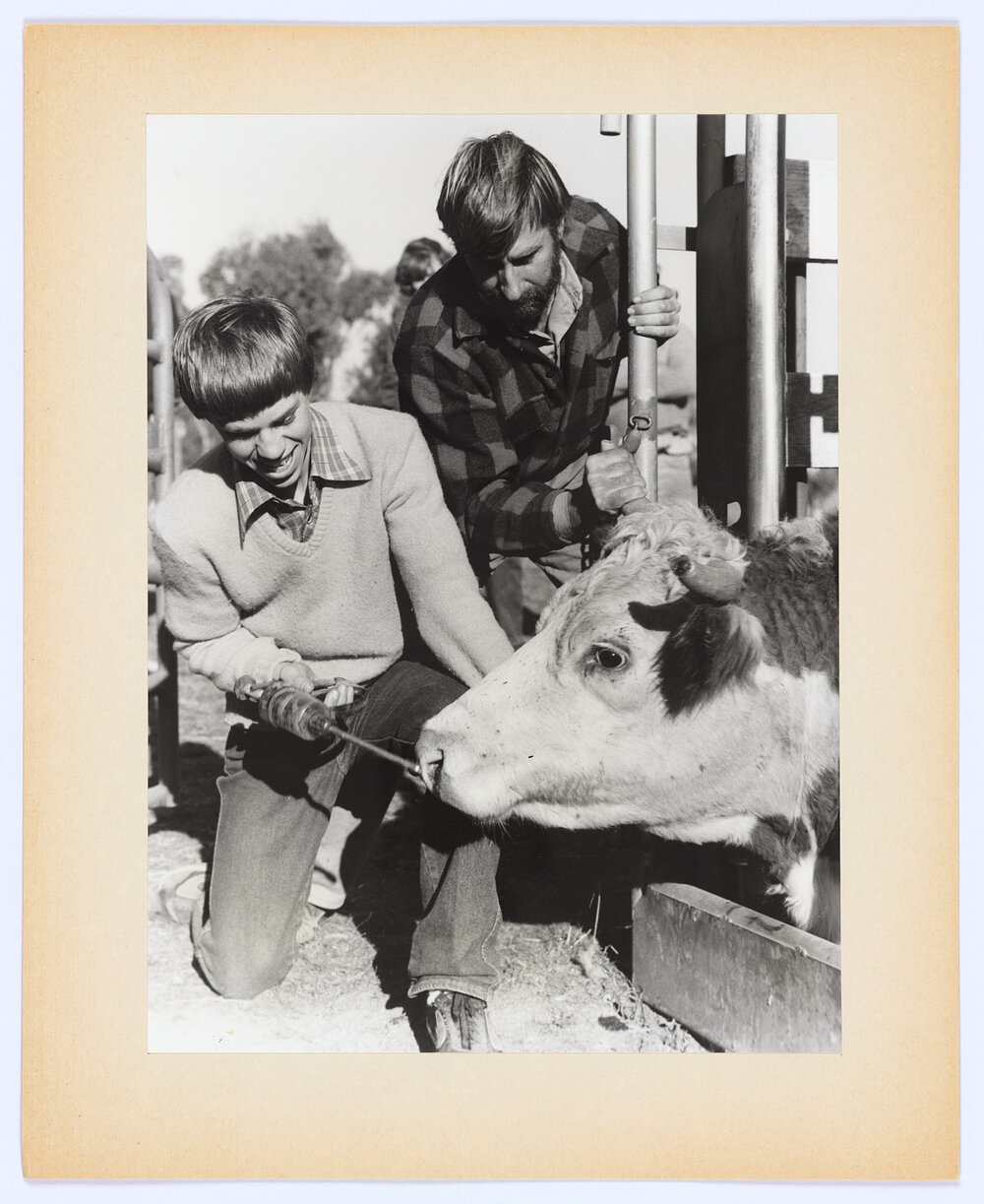 Youth in the 80s: CYSS Rural Work Skills