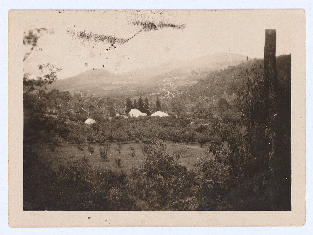 Canobolas mountain slopes