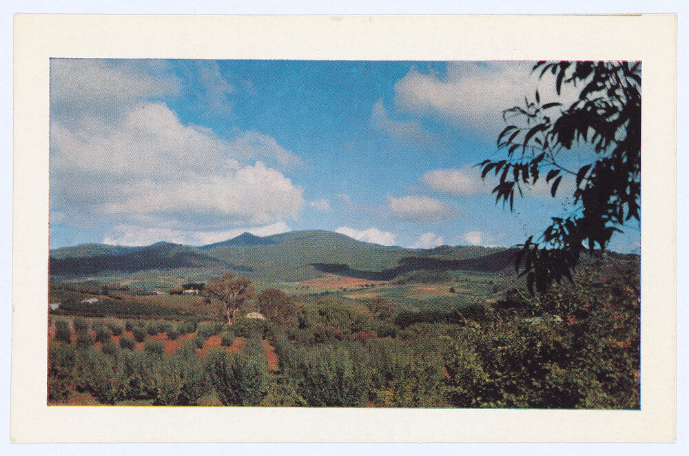 Mount Canobolas