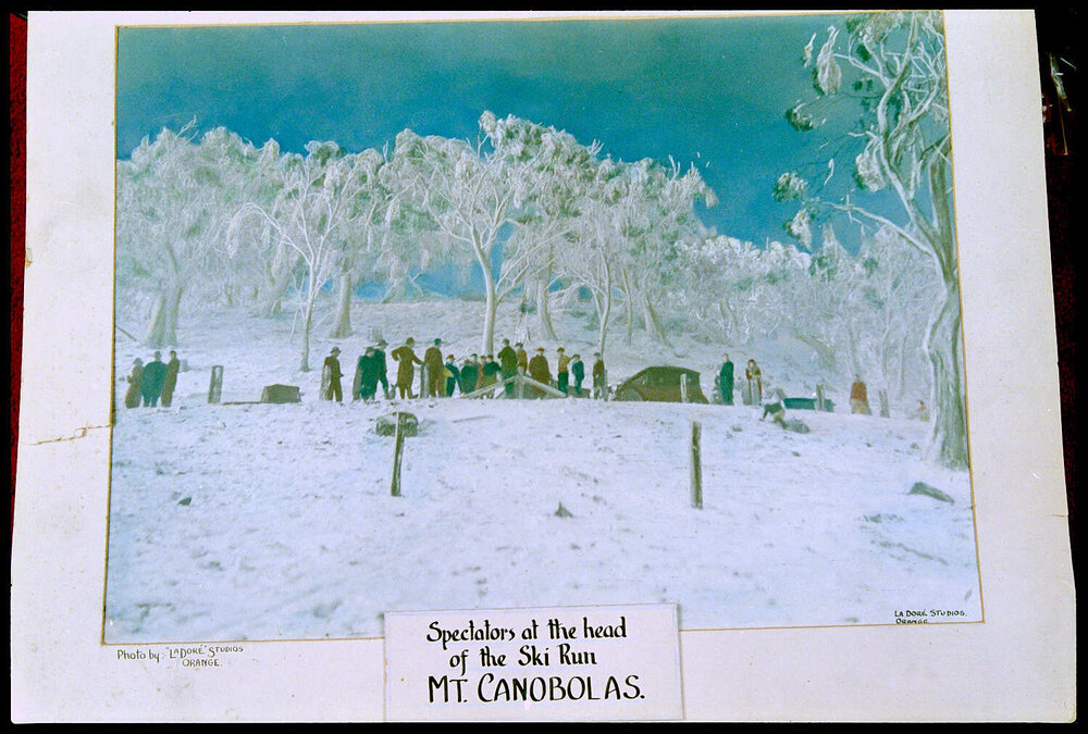 Ski run, Mount Canobolas