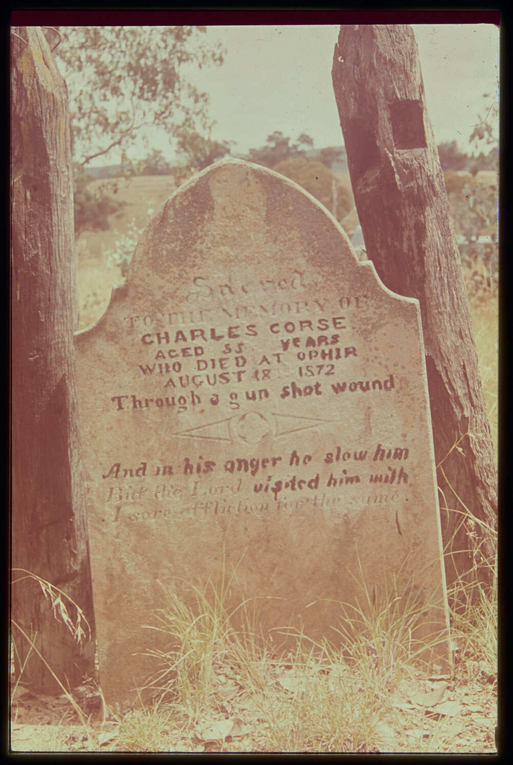 Headstone of Charles Corse, Ophir Cemetery