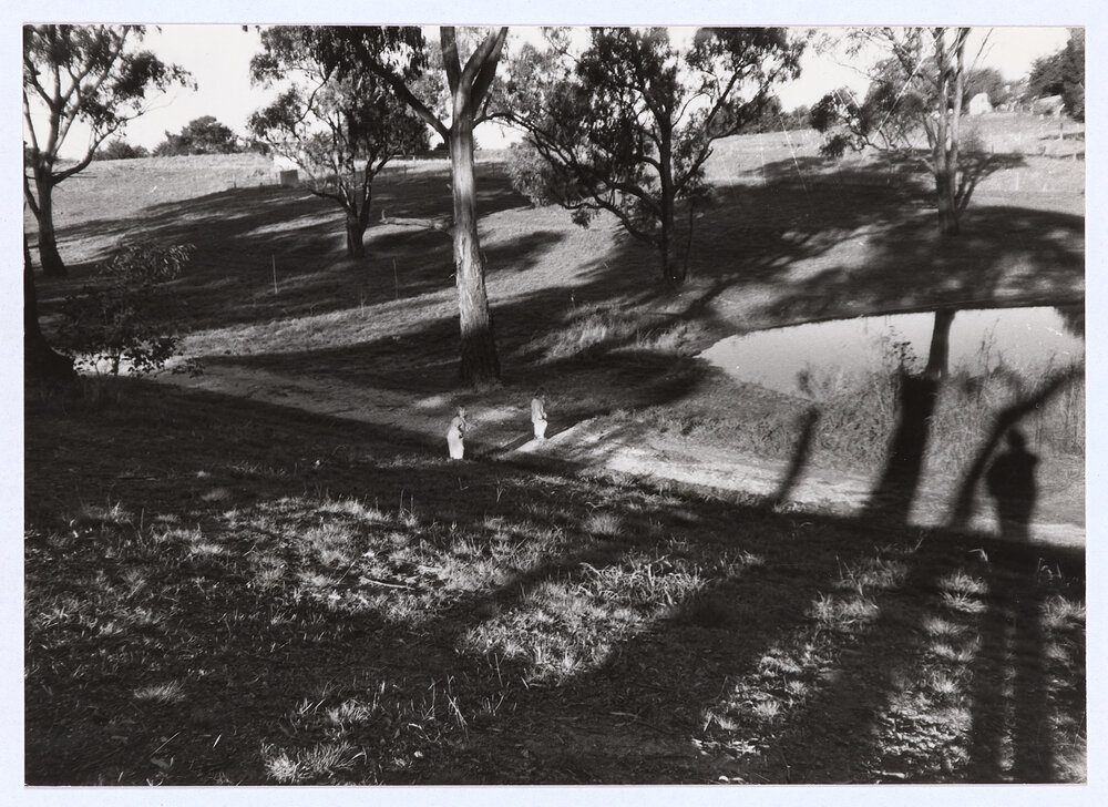 Twin girls playing next to a dam in the Orange Botanic Gardens.